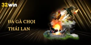 da-ga-choi-thai-lan