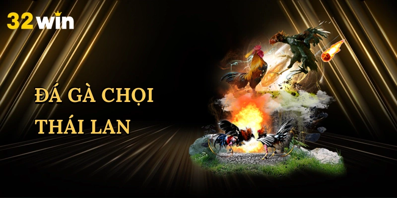 da-ga-choi-thai-lan