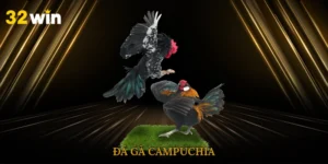 Đá gà Campuchia là lựa chọn đỉnh cao cho dân cá cược sành sỏi. Trải nghiệm kịch tính, luật chơi dễ hiểu, thắng lớn từng phút giây tại 32win ngay hôm nay! Đá Gà Campuchia – Kinh Nghiệm, Luật Chơi Và Mẹo Thắng Lớn Đá gà Campuchia từ lâu đã trở thành cái tên quen thuộc với cộng đồng cá cược. Với sức hấp dẫn khó cưỡng, bộ môn này chinh phục hàng triệu người chơi mỗi ngày. Tại 32win, người chơi được trải nghiệm trực tuyến chân thật như thực tế. Hãy cùng khám phá sâu hơn để hiểu vì sao bộ môn này được yêu thích đến vậy. Đá gà Campuchia – Sự lựa chọn hàng đầu của dân cá cược Trong thế giới cá cược hiện đại, đá gà Campuchia là một hình thức giải trí vừa cổ truyền vừa mới mẻ. Xuất phát từ các trường gà nổi tiếng ở Phnom Penh, bộ môn này đã vươn tầm ra khắp Đông Nam Á, trở thành điểm đến yêu thích của những tay chơi đam mê thể thao máu lửa. Mang lại cảm giác chân thực nhờ hình ảnh sắc nét, bình luận trực tiếp và kết quả minh bạch, đảm bảo người chơi luôn yên tâm khi đặt cược. Khác biệt lớn nhất của đá gà Campuchia chính là tính tổ chức chuyên nghiệp và quy mô hoành tráng. Các sới thường tổ chức theo lịch cố định, có trọng tài và luật lệ rõ ràng. Những chiến kê tham gia đều được huấn luyện bài bản, đảm bảo mỗi trận đấu diễn ra kịch tính, hấp dẫn và không kém phần gay cấn. Mỗi pha tung cựa, vung đòn đều khiến người xem nghẹt thở và nâng cao trải nghiệm giải trí. Hình thức cá cược đá gà cũng rất đa dạng, từ cược trực tiếp theo hiệp, cược kết quả, đến cược chấp theo tỷ lệ nhà cái. Người chơi có thể dễ dàng tiếp cận, nắm bắt luật lệ và bắt đầu cá cược chỉ sau vài lần theo dõi. Chính điều này đã giúp chiếm trọn tình cảm của người chơi từ tay mới đến cao thủ. Khám phá về đá gà campuchia Quy tắc đá gà Campuchia – Hiểu rõ để thắng lớn Luật chơi của đá gà Campuchia khá đơn giản, dễ hiểu nhưng vẫn giữ được sự kịch tính cần thiết. Để giúp bạn bắt nhịp nhanh chóng, dưới đây là bốn yếu tố quan trọng bạn cần nắm. Phân loại đá gà Đá gà Campuchia có nhiều hình thức, phổ biến nhất là gà cựa dao và gà đòn. Loại cựa dao mang tính sát thương cao, kết quả trận đấu thường nhanh chóng và bất ngờ. Gà đòn thiên về sức bền và chiến thuật, thường kéo dài lâu hơn, phù hợp với người yêu thích sự hồi hộp kéo dài. Ngoài ra, gà tre với thân hình nhỏ gọn, linh hoạt cũng là lựa chọn được ưa chuộng. Quy định việc trả thưởng đá gà Campuchia Tỷ lệ trả thưởng luôn được cộng đồng cược thủ đánh giá cao nhờ mức hoàn trả hấp dẫn và công bằng. Tại các trận đấu đá gà Campuchia, tỷ lệ trả thưởng thường dao động từ 95% đến 98%, tùy theo từng loại cược. Các hình thức cược phổ biến bao gồm cược gà thắng, cược tỷ số, cược gà thắng theo vòng và cược chẵn lẻ. Ngoài ra, còn cung cấp các chương trình hoàn tiền cho người chơi thua cược, giúp giảm thiểu rủi ro và tạo cơ hội cho người chơi tiếp tục tham gia. Nhờ vào hệ thống truyền hình trực tiếp chất lượng cao, kết quả trận đấu luôn được cập nhật nhanh chóng và chính xác, mang lại trải nghiệm chơi đá gà Campuchia trọn vẹn và công bằng. Các hình thức cược Hiện nay, cược đá gà Campuchia gồm ba dạng chính: cược Meron, Wala và BDD. Ngoài ra, một số sới gà còn cung cấp cược tỷ số hoặc cược theo hiệp, tăng thêm phần hấp dẫn và cơ hội thắng lớn. Mỗi hình thức cược đều có tỷ lệ ăn riêng, vì vậy người chơi nên phân tích trước khi quyết định “xuống tiền”. Xem thêm: Bắn cá đại dương Thời gian diễn ra trận đá gà Campuchia đấu và số hiệp đấu Mỗi trận thường không quá dài, dao động từ 5 đến 15 phút, tùy thuộc vào loại và sức chiến đấu của chúng. Một số trận có thể chia thành nhiều hiệp, nhất là đối với gà đòn. Hiểu rõ về thời gian thi đấu giúp người chơi kiểm soát tốt chiến lược cược, từ đó nâng cao tỷ lệ thắng. Thời gian ngắn cũng đồng nghĩa với việc cần phản ứng nhanh và quyết đoán khi đưa ra lựa chọn. Quy trình chơi dễ hiểu Mẹo chơi đá gà Campuchia – Bí kíp từ cao thủ Hiểu luật thôi chưa đủ, muốn thắng đều đặn với đá gà Campuchia, bạn cần tích lũy kinh nghiệm thực chiến. Dưới đây là những chia sẻ “xương máu” từ dân chơi lâu năm. Phân tích kỹ thể trạng và phong cách gà Trước mỗi trận đấu, việc quan sát kỹ thể lực và dáng vẻ của gà là điều quan trọng hàng đầu. Gà có phong độ tốt thường có ánh mắt linh hoạt, mỏ ngậm chặt, dáng đi chắc nịch và cử động linh hoạt. Ngoài ra, bạn cần để ý tới lông gà: bộ lông bóng mượt chứng tỏ sức khỏe ổn định. Trong đá gà Campuchia, yếu tố tinh thần có thể quyết định phần lớn kết quả. Nắm bắt lịch sử thi đấu và tỷ lệ thắng Tìm hiểu lịch sử thi đấu của gà là yếu tố cực kỳ quan trọng. Một con có chuỗi thắng liên tiếp sẽ có lợi thế tinh thần lớn. Tuy nhiên, đừng bỏ qua những con mới nhưng được đánh giá cao bởi nhà cái. Đá gà thường cập nhật thông tin này rõ ràng, bạn nên dành vài phút để nghiên cứu trước khi chơi. Quản lý vốn thông minh Cho dù bạn có nhiều kinh nghiệm hay tự tin tuyệt đối vào phán đoán của mình, thì việc quản lý vốn cược một cách hợp lý vẫn là yếu tố bắt buộc. Bạn nên chia nhỏ tổng vốn ra nhiều phần, chỉ sử dụng khoảng 30–40% số tiền đang có cho mỗi trận đấu. Sau mỗi trận, hãy đánh giá lại hiệu quả của chiến thuật vốn và điều chỉnh phù hợp. Quản lý tài chính thông minh không chỉ bảo vệ bạn khỏi thua lỗ mà còn là chìa khóa để bạn duy trì cuộc chơi dài hạn. Chọn nhà cái uy tín Một yếu tố sống còn là chọn đúng nơi gửi niềm tin. Hãy ưu tiên những nhà cái có tiếng, giao diện thân thiện, tỷ lệ cược minh bạch. Tránh xa các nền tảng thiếu giấy phép hoặc không rõ nguồn gốc. Khi chơi đá gà Campuchia, bạn cần sự minh bạch tuyệt đối để đảm bảo quyền lợi. Một nhà cái uy tín sẽ không chỉ đảm bảo tính công bằng trong mỗi trận đấu, mà còn cung cấp dịch vụ khách hàng chuyên nghiệp và hỗ trợ người chơi kịp thời. Thủ thuật chơi cho người mới Kết luận Đá gà Campuchia là lựa chọn hoàn hảo cho người mê cá cược đỉnh cao. Với luật chơi rõ ràng, tỷ lệ thắng hấp dẫn, đây là sân chơi đáng thử ngay hôm nay tại 32win. Đừng bỏ lỡ cơ hội vừa giải trí vừa kiếm tiền cực đã! Đá gà Campuchia là lựa chọn đỉnh cao cho dân cá cược sành sỏi. Trải nghiệm kịch tính, luật chơi dễ hiểu, thắng lớn từng phút giây tại 32win ngay hôm nay! Đá Gà Campuchia – Kinh Nghiệm, Luật Chơi Và Mẹo Thắng Lớn Đá gà Campuchia từ lâu đã trở thành cái tên quen thuộc với cộng đồng cá cược. Với sức hấp dẫn khó cưỡng, bộ môn này chinh phục hàng triệu người chơi mỗi ngày. Tại 32win, người chơi được trải nghiệm trực tuyến chân thật như thực tế. Hãy cùng khám phá sâu hơn để hiểu vì sao bộ môn này được yêu thích đến vậy. Đá gà Campuchia – Sự lựa chọn hàng đầu của dân cá cược Trong thế giới cá cược hiện đại, đá gà Campuchia là một hình thức giải trí vừa cổ truyền vừa mới mẻ. Xuất phát từ các trường gà nổi tiếng ở Phnom Penh, bộ môn này đã vươn tầm ra khắp Đông Nam Á, trở thành điểm đến yêu thích của những tay chơi đam mê thể thao máu lửa. Mang lại cảm giác chân thực nhờ hình ảnh sắc nét, bình luận trực tiếp và kết quả minh bạch, đảm bảo người chơi luôn yên tâm khi đặt cược. Khác biệt lớn nhất của đá gà Campuchia chính là tính tổ chức chuyên nghiệp và quy mô hoành tráng. Các sới thường tổ chức theo lịch cố định, có trọng tài và luật lệ rõ ràng. Những chiến kê tham gia đều được huấn luyện bài bản, đảm bảo mỗi trận đấu diễn ra kịch tính, hấp dẫn và không kém phần gay cấn. Mỗi pha tung cựa, vung đòn đều khiến người xem nghẹt thở và nâng cao trải nghiệm giải trí. Hình thức cá cược đá gà cũng rất đa dạng, từ cược trực tiếp theo hiệp, cược kết quả, đến cược chấp theo tỷ lệ nhà cái. Người chơi có thể dễ dàng tiếp cận, nắm bắt luật lệ và bắt đầu cá cược chỉ sau vài lần theo dõi. Chính điều này đã giúp chiếm trọn tình cảm của người chơi từ tay mới đến cao thủ. Khám phá về đá gà campuchia Quy tắc đá gà Campuchia – Hiểu rõ để thắng lớn Luật chơi của đá gà Campuchia khá đơn giản, dễ hiểu nhưng vẫn giữ được sự kịch tính cần thiết. Để giúp bạn bắt nhịp nhanh chóng, dưới đây là bốn yếu tố quan trọng bạn cần nắm. Phân loại đá gà Đá gà Campuchia có nhiều hình thức, phổ biến nhất là gà cựa dao và gà đòn. Loại cựa dao mang tính sát thương cao, kết quả trận đấu thường nhanh chóng và bất ngờ. Gà đòn thiên về sức bền và chiến thuật, thường kéo dài lâu hơn, phù hợp với người yêu thích sự hồi hộp kéo dài. Ngoài ra, gà tre với thân hình nhỏ gọn, linh hoạt cũng là lựa chọn được ưa chuộng. Quy định việc trả thưởng đá gà Campuchia Tỷ lệ trả thưởng luôn được cộng đồng cược thủ đánh giá cao nhờ mức hoàn trả hấp dẫn và công bằng. Tại các trận đấu đá gà Campuchia, tỷ lệ trả thưởng thường dao động từ 95% đến 98%, tùy theo từng loại cược. Các hình thức cược phổ biến bao gồm cược gà thắng, cược tỷ số, cược gà thắng theo vòng và cược chẵn lẻ. Ngoài ra, còn cung cấp các chương trình hoàn tiền cho người chơi thua cược, giúp giảm thiểu rủi ro và tạo cơ hội cho người chơi tiếp tục tham gia. Nhờ vào hệ thống truyền hình trực tiếp chất lượng cao, kết quả trận đấu luôn được cập nhật nhanh chóng và chính xác, mang lại trải nghiệm chơi đá gà Campuchia trọn vẹn và công bằng. Các hình thức cược Hiện nay, cược đá gà Campuchia gồm ba dạng chính: cược Meron, Wala và BDD. Ngoài ra, một số sới gà còn cung cấp cược tỷ số hoặc cược theo hiệp, tăng thêm phần hấp dẫn và cơ hội thắng lớn. Mỗi hình thức cược đều có tỷ lệ ăn riêng, vì vậy người chơi nên phân tích trước khi quyết định “xuống tiền”. Xem thêm: Bắn cá đại dương Thời gian diễn ra trận đá gà Campuchia đấu và số hiệp đấu Mỗi trận thường không quá dài, dao động từ 5 đến 15 phút, tùy thuộc vào loại và sức chiến đấu của chúng. Một số trận có thể chia thành nhiều hiệp, nhất là đối với gà đòn. Hiểu rõ về thời gian thi đấu giúp người chơi kiểm soát tốt chiến lược cược, từ đó nâng cao tỷ lệ thắng. Thời gian ngắn cũng đồng nghĩa với việc cần phản ứng nhanh và quyết đoán khi đưa ra lựa chọn. Quy trình chơi dễ hiểu Mẹo chơi đá gà Campuchia – Bí kíp từ cao thủ Hiểu luật thôi chưa đủ, muốn thắng đều đặn với đá gà Campuchia, bạn cần tích lũy kinh nghiệm thực chiến. Dưới đây là những chia sẻ “xương máu” từ dân chơi lâu năm. Phân tích kỹ thể trạng và phong cách gà Trước mỗi trận đấu, việc quan sát kỹ thể lực và dáng vẻ của gà là điều quan trọng hàng đầu. Gà có phong độ tốt thường có ánh mắt linh hoạt, mỏ ngậm chặt, dáng đi chắc nịch và cử động linh hoạt. Ngoài ra, bạn cần để ý tới lông gà: bộ lông bóng mượt chứng tỏ sức khỏe ổn định. Trong đá gà Campuchia, yếu tố tinh thần có thể quyết định phần lớn kết quả. Nắm bắt lịch sử thi đấu và tỷ lệ thắng Tìm hiểu lịch sử thi đấu của gà là yếu tố cực kỳ quan trọng. Một con có chuỗi thắng liên tiếp sẽ có lợi thế tinh thần lớn. Tuy nhiên, đừng bỏ qua những con mới nhưng được đánh giá cao bởi nhà cái. Đá gà thường cập nhật thông tin này rõ ràng, bạn nên dành vài phút để nghiên cứu trước khi chơi. Quản lý vốn thông minh Cho dù bạn có nhiều kinh nghiệm hay tự tin tuyệt đối vào phán đoán của mình, thì việc quản lý vốn cược một cách hợp lý vẫn là yếu tố bắt buộc. Bạn nên chia nhỏ tổng vốn ra nhiều phần, chỉ sử dụng khoảng 30–40% số tiền đang có cho mỗi trận đấu. Sau mỗi trận, hãy đánh giá lại hiệu quả của chiến thuật vốn và điều chỉnh phù hợp. Quản lý tài chính thông minh không chỉ bảo vệ bạn khỏi thua lỗ mà còn là chìa khóa để bạn duy trì cuộc chơi dài hạn. Chọn nhà cái uy tín Một yếu tố sống còn là chọn đúng nơi gửi niềm tin. Hãy ưu tiên những nhà cái có tiếng, giao diện thân thiện, tỷ lệ cược minh bạch. Tránh xa các nền tảng thiếu giấy phép hoặc không rõ nguồn gốc. Khi chơi đá gà Campuchia, bạn cần sự minh bạch tuyệt đối để đảm bảo quyền lợi. Một nhà cái uy tín sẽ không chỉ đảm bảo tính công bằng trong mỗi trận đấu, mà còn cung cấp dịch vụ khách hàng chuyên nghiệp và hỗ trợ người chơi kịp thời. Thủ thuật chơi cho người mới Kết luận Đá gà Campuchia là lựa chọn hoàn hảo cho người mê cá cược đỉnh cao. Với luật chơi rõ ràng, tỷ lệ thắng hấp dẫn, đây là sân chơi đáng thử ngay hôm nay tại 32win. Đừng bỏ lỡ cơ hội vừa giải trí vừa kiếm tiền cực đã!