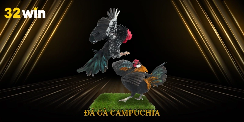 Đá gà Campuchia là lựa chọn đỉnh cao cho dân cá cược sành sỏi. Trải nghiệm kịch tính, luật chơi dễ hiểu, thắng lớn từng phút giây tại 32win ngay hôm nay! Đá Gà Campuchia – Kinh Nghiệm, Luật Chơi Và Mẹo Thắng Lớn Đá gà Campuchia từ lâu đã trở thành cái tên quen thuộc với cộng đồng cá cược. Với sức hấp dẫn khó cưỡng, bộ môn này chinh phục hàng triệu người chơi mỗi ngày. Tại 32win, người chơi được trải nghiệm trực tuyến chân thật như thực tế. Hãy cùng khám phá sâu hơn để hiểu vì sao bộ môn này được yêu thích đến vậy. Đá gà Campuchia – Sự lựa chọn hàng đầu của dân cá cược Trong thế giới cá cược hiện đại, đá gà Campuchia là một hình thức giải trí vừa cổ truyền vừa mới mẻ. Xuất phát từ các trường gà nổi tiếng ở Phnom Penh, bộ môn này đã vươn tầm ra khắp Đông Nam Á, trở thành điểm đến yêu thích của những tay chơi đam mê thể thao máu lửa. Mang lại cảm giác chân thực nhờ hình ảnh sắc nét, bình luận trực tiếp và kết quả minh bạch, đảm bảo người chơi luôn yên tâm khi đặt cược. Khác biệt lớn nhất của đá gà Campuchia chính là tính tổ chức chuyên nghiệp và quy mô hoành tráng. Các sới thường tổ chức theo lịch cố định, có trọng tài và luật lệ rõ ràng. Những chiến kê tham gia đều được huấn luyện bài bản, đảm bảo mỗi trận đấu diễn ra kịch tính, hấp dẫn và không kém phần gay cấn. Mỗi pha tung cựa, vung đòn đều khiến người xem nghẹt thở và nâng cao trải nghiệm giải trí. Hình thức cá cược đá gà cũng rất đa dạng, từ cược trực tiếp theo hiệp, cược kết quả, đến cược chấp theo tỷ lệ nhà cái. Người chơi có thể dễ dàng tiếp cận, nắm bắt luật lệ và bắt đầu cá cược chỉ sau vài lần theo dõi. Chính điều này đã giúp chiếm trọn tình cảm của người chơi từ tay mới đến cao thủ. Khám phá về đá gà campuchia Quy tắc đá gà Campuchia – Hiểu rõ để thắng lớn Luật chơi của đá gà Campuchia khá đơn giản, dễ hiểu nhưng vẫn giữ được sự kịch tính cần thiết. Để giúp bạn bắt nhịp nhanh chóng, dưới đây là bốn yếu tố quan trọng bạn cần nắm. Phân loại đá gà Đá gà Campuchia có nhiều hình thức, phổ biến nhất là gà cựa dao và gà đòn. Loại cựa dao mang tính sát thương cao, kết quả trận đấu thường nhanh chóng và bất ngờ. Gà đòn thiên về sức bền và chiến thuật, thường kéo dài lâu hơn, phù hợp với người yêu thích sự hồi hộp kéo dài. Ngoài ra, gà tre với thân hình nhỏ gọn, linh hoạt cũng là lựa chọn được ưa chuộng. Quy định việc trả thưởng đá gà Campuchia Tỷ lệ trả thưởng luôn được cộng đồng cược thủ đánh giá cao nhờ mức hoàn trả hấp dẫn và công bằng. Tại các trận đấu đá gà Campuchia, tỷ lệ trả thưởng thường dao động từ 95% đến 98%, tùy theo từng loại cược. Các hình thức cược phổ biến bao gồm cược gà thắng, cược tỷ số, cược gà thắng theo vòng và cược chẵn lẻ. Ngoài ra, còn cung cấp các chương trình hoàn tiền cho người chơi thua cược, giúp giảm thiểu rủi ro và tạo cơ hội cho người chơi tiếp tục tham gia. Nhờ vào hệ thống truyền hình trực tiếp chất lượng cao, kết quả trận đấu luôn được cập nhật nhanh chóng và chính xác, mang lại trải nghiệm chơi đá gà Campuchia trọn vẹn và công bằng. Các hình thức cược Hiện nay, cược đá gà Campuchia gồm ba dạng chính: cược Meron, Wala và BDD. Ngoài ra, một số sới gà còn cung cấp cược tỷ số hoặc cược theo hiệp, tăng thêm phần hấp dẫn và cơ hội thắng lớn. Mỗi hình thức cược đều có tỷ lệ ăn riêng, vì vậy người chơi nên phân tích trước khi quyết định “xuống tiền”. Xem thêm: Bắn cá đại dương Thời gian diễn ra trận đá gà Campuchia đấu và số hiệp đấu Mỗi trận thường không quá dài, dao động từ 5 đến 15 phút, tùy thuộc vào loại và sức chiến đấu của chúng. Một số trận có thể chia thành nhiều hiệp, nhất là đối với gà đòn. Hiểu rõ về thời gian thi đấu giúp người chơi kiểm soát tốt chiến lược cược, từ đó nâng cao tỷ lệ thắng. Thời gian ngắn cũng đồng nghĩa với việc cần phản ứng nhanh và quyết đoán khi đưa ra lựa chọn. Quy trình chơi dễ hiểu Mẹo chơi đá gà Campuchia – Bí kíp từ cao thủ Hiểu luật thôi chưa đủ, muốn thắng đều đặn với đá gà Campuchia, bạn cần tích lũy kinh nghiệm thực chiến. Dưới đây là những chia sẻ “xương máu” từ dân chơi lâu năm. Phân tích kỹ thể trạng và phong cách gà Trước mỗi trận đấu, việc quan sát kỹ thể lực và dáng vẻ của gà là điều quan trọng hàng đầu. Gà có phong độ tốt thường có ánh mắt linh hoạt, mỏ ngậm chặt, dáng đi chắc nịch và cử động linh hoạt. Ngoài ra, bạn cần để ý tới lông gà: bộ lông bóng mượt chứng tỏ sức khỏe ổn định. Trong đá gà Campuchia, yếu tố tinh thần có thể quyết định phần lớn kết quả. Nắm bắt lịch sử thi đấu và tỷ lệ thắng Tìm hiểu lịch sử thi đấu của gà là yếu tố cực kỳ quan trọng. Một con có chuỗi thắng liên tiếp sẽ có lợi thế tinh thần lớn. Tuy nhiên, đừng bỏ qua những con mới nhưng được đánh giá cao bởi nhà cái. Đá gà thường cập nhật thông tin này rõ ràng, bạn nên dành vài phút để nghiên cứu trước khi chơi. Quản lý vốn thông minh Cho dù bạn có nhiều kinh nghiệm hay tự tin tuyệt đối vào phán đoán của mình, thì việc quản lý vốn cược một cách hợp lý vẫn là yếu tố bắt buộc. Bạn nên chia nhỏ tổng vốn ra nhiều phần, chỉ sử dụng khoảng 30–40% số tiền đang có cho mỗi trận đấu. Sau mỗi trận, hãy đánh giá lại hiệu quả của chiến thuật vốn và điều chỉnh phù hợp. Quản lý tài chính thông minh không chỉ bảo vệ bạn khỏi thua lỗ mà còn là chìa khóa để bạn duy trì cuộc chơi dài hạn. Chọn nhà cái uy tín Một yếu tố sống còn là chọn đúng nơi gửi niềm tin. Hãy ưu tiên những nhà cái có tiếng, giao diện thân thiện, tỷ lệ cược minh bạch. Tránh xa các nền tảng thiếu giấy phép hoặc không rõ nguồn gốc. Khi chơi đá gà Campuchia, bạn cần sự minh bạch tuyệt đối để đảm bảo quyền lợi. Một nhà cái uy tín sẽ không chỉ đảm bảo tính công bằng trong mỗi trận đấu, mà còn cung cấp dịch vụ khách hàng chuyên nghiệp và hỗ trợ người chơi kịp thời. Thủ thuật chơi cho người mới Kết luận Đá gà Campuchia là lựa chọn hoàn hảo cho người mê cá cược đỉnh cao. Với luật chơi rõ ràng, tỷ lệ thắng hấp dẫn, đây là sân chơi đáng thử ngay hôm nay tại 32win. Đừng bỏ lỡ cơ hội vừa giải trí vừa kiếm tiền cực đã! Đá gà Campuchia là lựa chọn đỉnh cao cho dân cá cược sành sỏi. Trải nghiệm kịch tính, luật chơi dễ hiểu, thắng lớn từng phút giây tại 32win ngay hôm nay! Đá Gà Campuchia – Kinh Nghiệm, Luật Chơi Và Mẹo Thắng Lớn Đá gà Campuchia từ lâu đã trở thành cái tên quen thuộc với cộng đồng cá cược. Với sức hấp dẫn khó cưỡng, bộ môn này chinh phục hàng triệu người chơi mỗi ngày. Tại 32win, người chơi được trải nghiệm trực tuyến chân thật như thực tế. Hãy cùng khám phá sâu hơn để hiểu vì sao bộ môn này được yêu thích đến vậy. Đá gà Campuchia – Sự lựa chọn hàng đầu của dân cá cược Trong thế giới cá cược hiện đại, đá gà Campuchia là một hình thức giải trí vừa cổ truyền vừa mới mẻ. Xuất phát từ các trường gà nổi tiếng ở Phnom Penh, bộ môn này đã vươn tầm ra khắp Đông Nam Á, trở thành điểm đến yêu thích của những tay chơi đam mê thể thao máu lửa. Mang lại cảm giác chân thực nhờ hình ảnh sắc nét, bình luận trực tiếp và kết quả minh bạch, đảm bảo người chơi luôn yên tâm khi đặt cược. Khác biệt lớn nhất của đá gà Campuchia chính là tính tổ chức chuyên nghiệp và quy mô hoành tráng. Các sới thường tổ chức theo lịch cố định, có trọng tài và luật lệ rõ ràng. Những chiến kê tham gia đều được huấn luyện bài bản, đảm bảo mỗi trận đấu diễn ra kịch tính, hấp dẫn và không kém phần gay cấn. Mỗi pha tung cựa, vung đòn đều khiến người xem nghẹt thở và nâng cao trải nghiệm giải trí. Hình thức cá cược đá gà cũng rất đa dạng, từ cược trực tiếp theo hiệp, cược kết quả, đến cược chấp theo tỷ lệ nhà cái. Người chơi có thể dễ dàng tiếp cận, nắm bắt luật lệ và bắt đầu cá cược chỉ sau vài lần theo dõi. Chính điều này đã giúp chiếm trọn tình cảm của người chơi từ tay mới đến cao thủ. Khám phá về đá gà campuchia Quy tắc đá gà Campuchia – Hiểu rõ để thắng lớn Luật chơi của đá gà Campuchia khá đơn giản, dễ hiểu nhưng vẫn giữ được sự kịch tính cần thiết. Để giúp bạn bắt nhịp nhanh chóng, dưới đây là bốn yếu tố quan trọng bạn cần nắm. Phân loại đá gà Đá gà Campuchia có nhiều hình thức, phổ biến nhất là gà cựa dao và gà đòn. Loại cựa dao mang tính sát thương cao, kết quả trận đấu thường nhanh chóng và bất ngờ. Gà đòn thiên về sức bền và chiến thuật, thường kéo dài lâu hơn, phù hợp với người yêu thích sự hồi hộp kéo dài. Ngoài ra, gà tre với thân hình nhỏ gọn, linh hoạt cũng là lựa chọn được ưa chuộng. Quy định việc trả thưởng đá gà Campuchia Tỷ lệ trả thưởng luôn được cộng đồng cược thủ đánh giá cao nhờ mức hoàn trả hấp dẫn và công bằng. Tại các trận đấu đá gà Campuchia, tỷ lệ trả thưởng thường dao động từ 95% đến 98%, tùy theo từng loại cược. Các hình thức cược phổ biến bao gồm cược gà thắng, cược tỷ số, cược gà thắng theo vòng và cược chẵn lẻ. Ngoài ra, còn cung cấp các chương trình hoàn tiền cho người chơi thua cược, giúp giảm thiểu rủi ro và tạo cơ hội cho người chơi tiếp tục tham gia. Nhờ vào hệ thống truyền hình trực tiếp chất lượng cao, kết quả trận đấu luôn được cập nhật nhanh chóng và chính xác, mang lại trải nghiệm chơi đá gà Campuchia trọn vẹn và công bằng. Các hình thức cược Hiện nay, cược đá gà Campuchia gồm ba dạng chính: cược Meron, Wala và BDD. Ngoài ra, một số sới gà còn cung cấp cược tỷ số hoặc cược theo hiệp, tăng thêm phần hấp dẫn và cơ hội thắng lớn. Mỗi hình thức cược đều có tỷ lệ ăn riêng, vì vậy người chơi nên phân tích trước khi quyết định “xuống tiền”. Xem thêm: Bắn cá đại dương Thời gian diễn ra trận đá gà Campuchia đấu và số hiệp đấu Mỗi trận thường không quá dài, dao động từ 5 đến 15 phút, tùy thuộc vào loại và sức chiến đấu của chúng. Một số trận có thể chia thành nhiều hiệp, nhất là đối với gà đòn. Hiểu rõ về thời gian thi đấu giúp người chơi kiểm soát tốt chiến lược cược, từ đó nâng cao tỷ lệ thắng. Thời gian ngắn cũng đồng nghĩa với việc cần phản ứng nhanh và quyết đoán khi đưa ra lựa chọn. Quy trình chơi dễ hiểu Mẹo chơi đá gà Campuchia – Bí kíp từ cao thủ Hiểu luật thôi chưa đủ, muốn thắng đều đặn với đá gà Campuchia, bạn cần tích lũy kinh nghiệm thực chiến. Dưới đây là những chia sẻ “xương máu” từ dân chơi lâu năm. Phân tích kỹ thể trạng và phong cách gà Trước mỗi trận đấu, việc quan sát kỹ thể lực và dáng vẻ của gà là điều quan trọng hàng đầu. Gà có phong độ tốt thường có ánh mắt linh hoạt, mỏ ngậm chặt, dáng đi chắc nịch và cử động linh hoạt. Ngoài ra, bạn cần để ý tới lông gà: bộ lông bóng mượt chứng tỏ sức khỏe ổn định. Trong đá gà Campuchia, yếu tố tinh thần có thể quyết định phần lớn kết quả. Nắm bắt lịch sử thi đấu và tỷ lệ thắng Tìm hiểu lịch sử thi đấu của gà là yếu tố cực kỳ quan trọng. Một con có chuỗi thắng liên tiếp sẽ có lợi thế tinh thần lớn. Tuy nhiên, đừng bỏ qua những con mới nhưng được đánh giá cao bởi nhà cái. Đá gà thường cập nhật thông tin này rõ ràng, bạn nên dành vài phút để nghiên cứu trước khi chơi. Quản lý vốn thông minh Cho dù bạn có nhiều kinh nghiệm hay tự tin tuyệt đối vào phán đoán của mình, thì việc quản lý vốn cược một cách hợp lý vẫn là yếu tố bắt buộc. Bạn nên chia nhỏ tổng vốn ra nhiều phần, chỉ sử dụng khoảng 30–40% số tiền đang có cho mỗi trận đấu. Sau mỗi trận, hãy đánh giá lại hiệu quả của chiến thuật vốn và điều chỉnh phù hợp. Quản lý tài chính thông minh không chỉ bảo vệ bạn khỏi thua lỗ mà còn là chìa khóa để bạn duy trì cuộc chơi dài hạn. Chọn nhà cái uy tín Một yếu tố sống còn là chọn đúng nơi gửi niềm tin. Hãy ưu tiên những nhà cái có tiếng, giao diện thân thiện, tỷ lệ cược minh bạch. Tránh xa các nền tảng thiếu giấy phép hoặc không rõ nguồn gốc. Khi chơi đá gà Campuchia, bạn cần sự minh bạch tuyệt đối để đảm bảo quyền lợi. Một nhà cái uy tín sẽ không chỉ đảm bảo tính công bằng trong mỗi trận đấu, mà còn cung cấp dịch vụ khách hàng chuyên nghiệp và hỗ trợ người chơi kịp thời. Thủ thuật chơi cho người mới Kết luận Đá gà Campuchia là lựa chọn hoàn hảo cho người mê cá cược đỉnh cao. Với luật chơi rõ ràng, tỷ lệ thắng hấp dẫn, đây là sân chơi đáng thử ngay hôm nay tại 32win. Đừng bỏ lỡ cơ hội vừa giải trí vừa kiếm tiền cực đã!