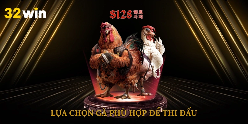 Lựa chọn gà phù hợp để thi đấu