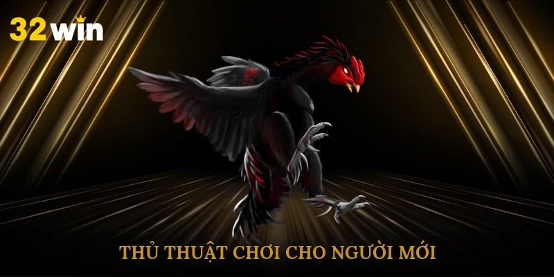 Thủ thuật chơi cho người mới